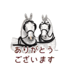 ホースメッセ公式LINEスタンプ2024（個別スタンプ：12）