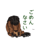 ホースメッセ公式LINEスタンプ2024（個別スタンプ：23）