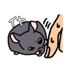 ポン酢ちゃんの気持ち（個別スタンプ：5）