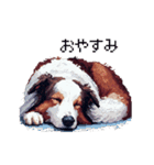 ドット絵 ボーダーコリー 白茶 40種 日常（個別スタンプ：2）