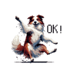 ドット絵 ボーダーコリー 白茶 40種 日常（個別スタンプ：7）