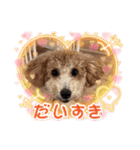 タルトのLINEスタンプナンバー2（個別スタンプ：12）