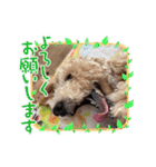 タルトのLINEスタンプナンバー2（個別スタンプ：22）