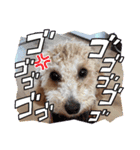 タルトのLINEスタンプナンバー2（個別スタンプ：28）