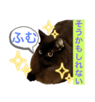 黒猫 ルナ院長136にゃんめ（個別スタンプ：6）