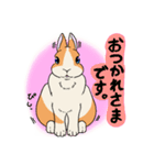 うさぎのくーさん日常（個別スタンプ：3）