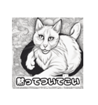 無表情な猫1（個別スタンプ：1）