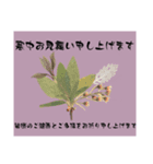 寒中お見舞い4（個別スタンプ：2）