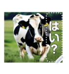 乳牛ホルスタイン【リアル風】（個別スタンプ：21）