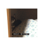 ココのリアルスタンプ2（個別スタンプ：35）