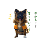 元野犬のぴーすけ（個別スタンプ：2）
