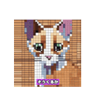 猫ピクセル2【修正版】（個別スタンプ：7）