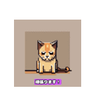 猫ピクセル2【修正版】（個別スタンプ：20）