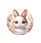 spring rabbit！！（個別スタンプ：3）