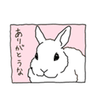 うさぎのまりー（個別スタンプ：13）