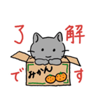 冬にまつわるアイテムと猫（主に丁寧語）（個別スタンプ：5）