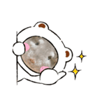 チンチラのこももちゃん（個別スタンプ：7）