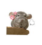チンチラのこももちゃん（個別スタンプ：18）