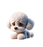 3D Art Dog Friends Toy Poodle Simple（個別スタンプ：31）