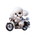 3D Art Dog Friends Toy Poodle Simple（個別スタンプ：37）