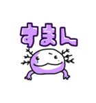 ウーパールーパーの定番スタンプ（個別スタンプ：14）