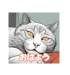 ママの日常会話代弁猫（個別スタンプ：8）