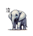 ドット絵 ゾウさん 日常会話 40種（個別スタンプ：13）