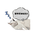 睦くんの日常（個別スタンプ：1）