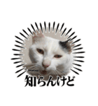 睦くんの日常（個別スタンプ：2）