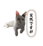 睦くんの日常（個別スタンプ：5）