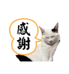 睦くんの日常（個別スタンプ：6）
