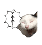 睦くんの日常（個別スタンプ：7）