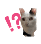睦くんの日常（個別スタンプ：10）
