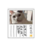 睦くんの日常（個別スタンプ：12）