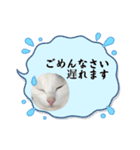 睦くんの日常（個別スタンプ：15）