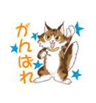 毎日使えるうちの猫（個別スタンプ：22）