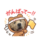 うーちゃんでぷ。（個別スタンプ：6）