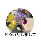 桜文鳥わすけ あいさつするわす【改訂版】（個別スタンプ：15）