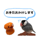 桜文鳥わすけ あいさつするわす【改訂版】（個別スタンプ：17）