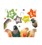 ししゃもん家のウロコズ（個別スタンプ：3）