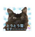 黒猫 ルナ院長137にゃんめ（個別スタンプ：8）