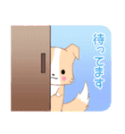 飛び出す！ちびボーダーコリー8【敬語】（個別スタンプ：12）