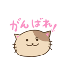 NEKO スタンプ ご挨拶（個別スタンプ：8）