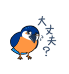 カーセミくん（個別スタンプ：6）