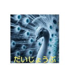 超開運 白孔雀（個別スタンプ：6）