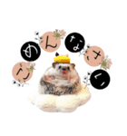 くるるん*（個別スタンプ：8）