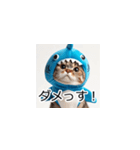 サメ猫の日常トーク2（個別スタンプ：6）