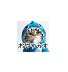 サメ猫の日常トーク2（個別スタンプ：26）