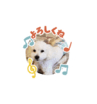 ぷぅでぷ（個別スタンプ：11）