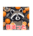 かわいいアライグマとみかん（個別スタンプ：12）